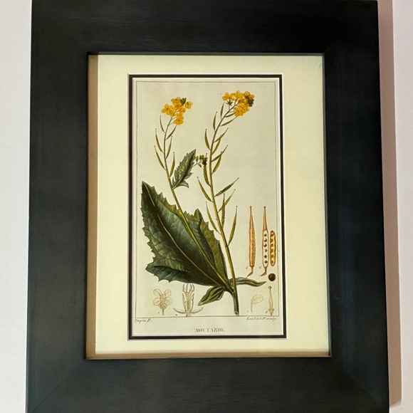 Set of 3 Framed Botanical Prints - Picture 4 of 4